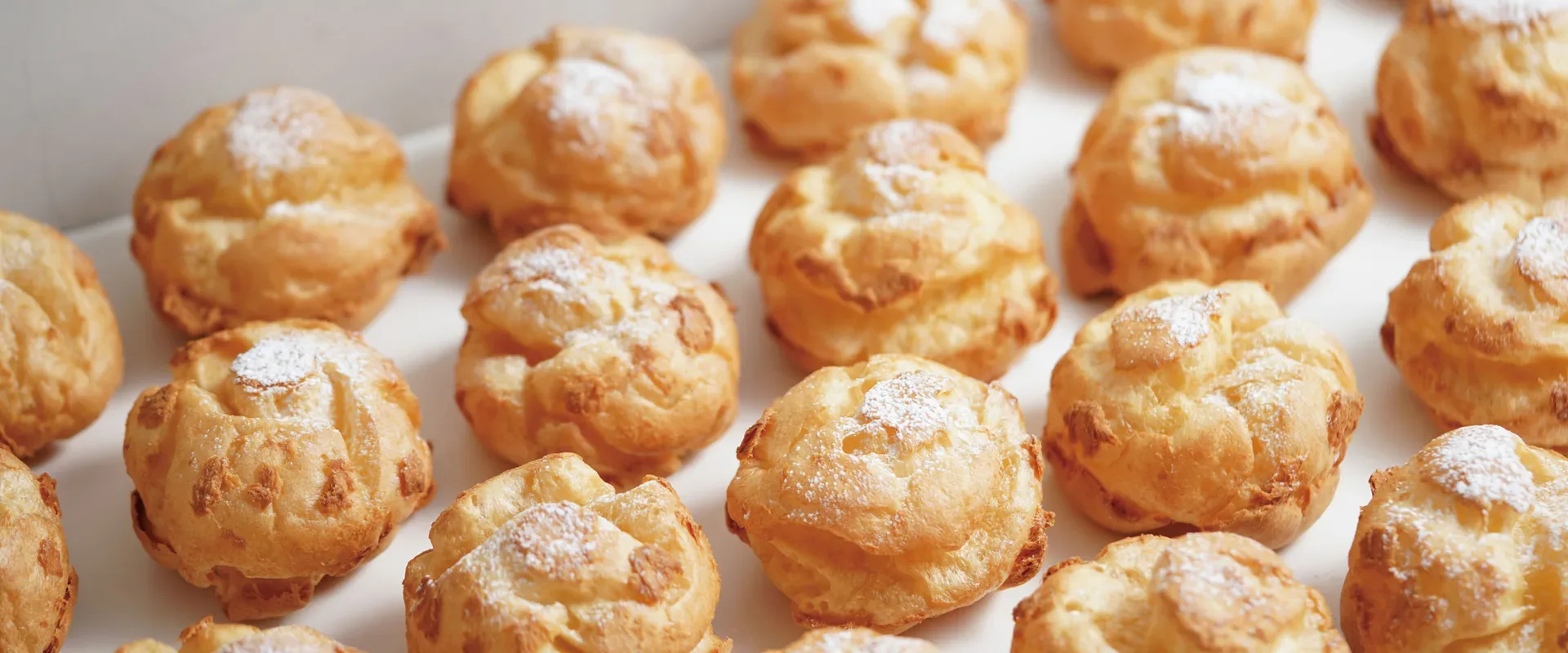 PC-首圖banner-03-w1920x800px